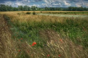 Weg von Breitengüßbach bis Kemmern